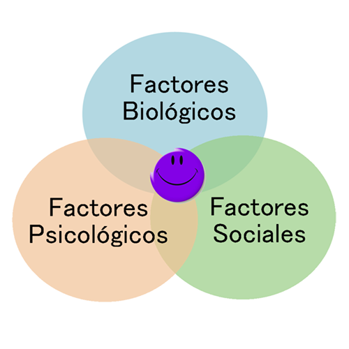 Modelo Multidisciplinar con Enfoque "Bio-psico-social"